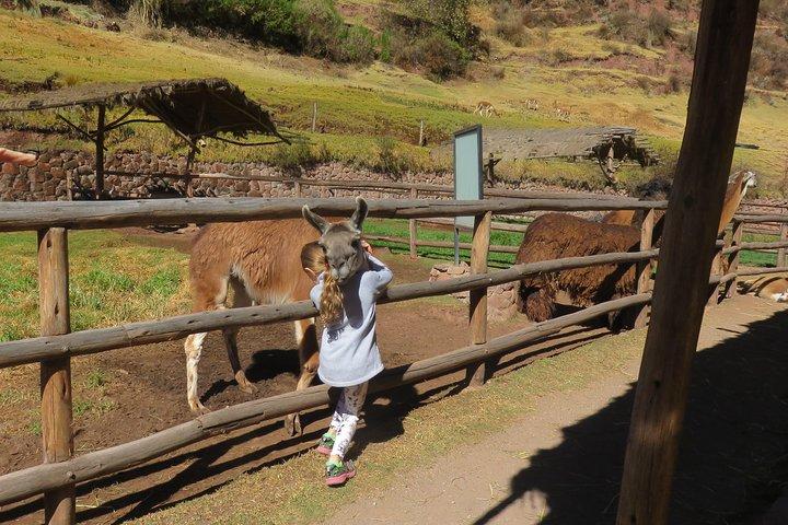 Tour to Machu Picchu and Sacred Valley for 2 Days