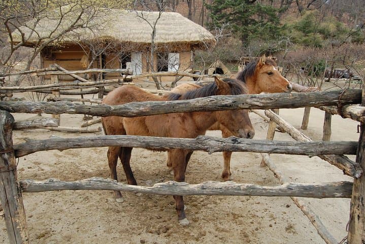 Korean Folk Village Afternoon Tour from Seoul