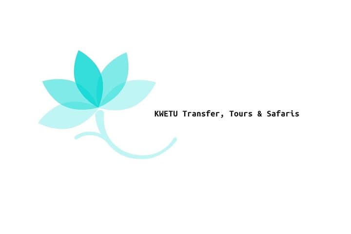 Airport/port Transfer