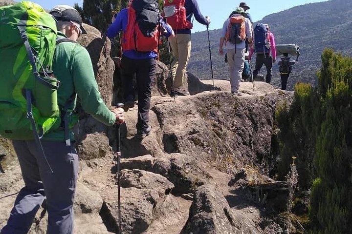 Rongai Route 7 Days