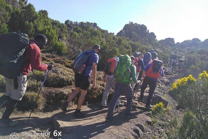 Kilimanjaro Climb- Lemosho Route