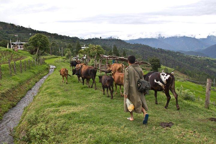 6 Days Explore the Hidden Kingdom of Bhutan