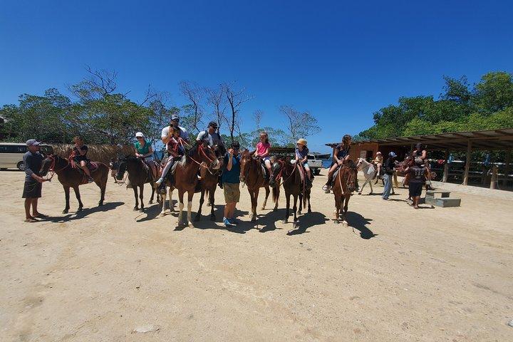 Roatan Excursion: Horseback Ride / Plus Sloth Park and Glass Bottom Boat