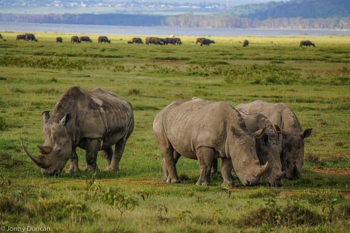 14 Days Kenya And Tanzania Budget Safari