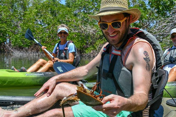 Mangrove Tunnels & Mudflats Kayak Tour - Local Biologist Guides