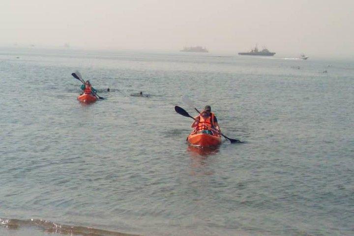 Half Day Kayaking Adventure in Walvis Bay