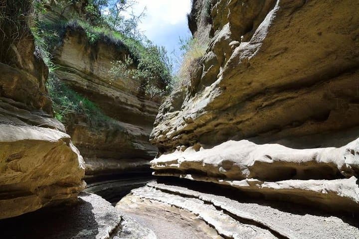 Hells Gate National Park & Lake Naivasha Boat Ride from Nairobi.