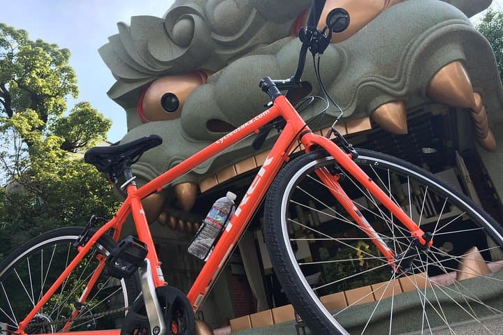 One-Day Osaka Bike Adventure: 5–6 Hours