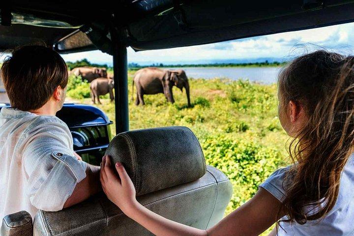 Private Half Day Tour: Udawalawe National Park with Elephant Transit Home Visit