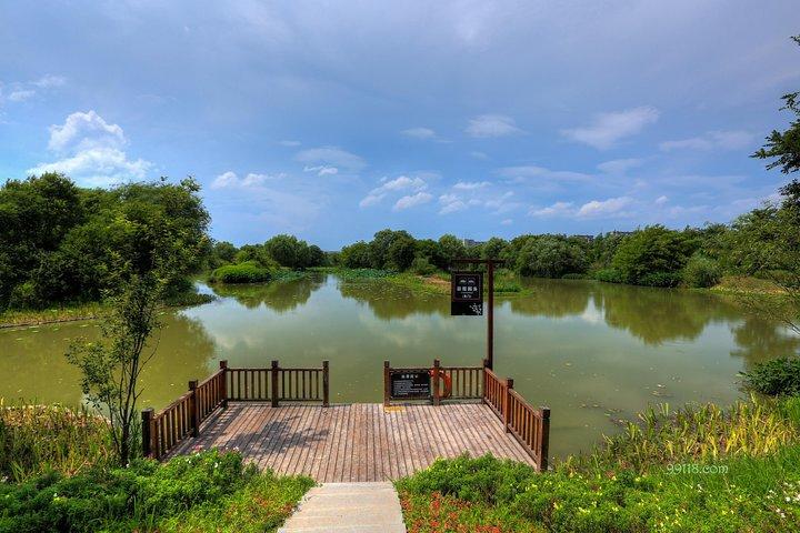 Hangzhou Private Ecological Day Tour including Xixi National Wetland Park