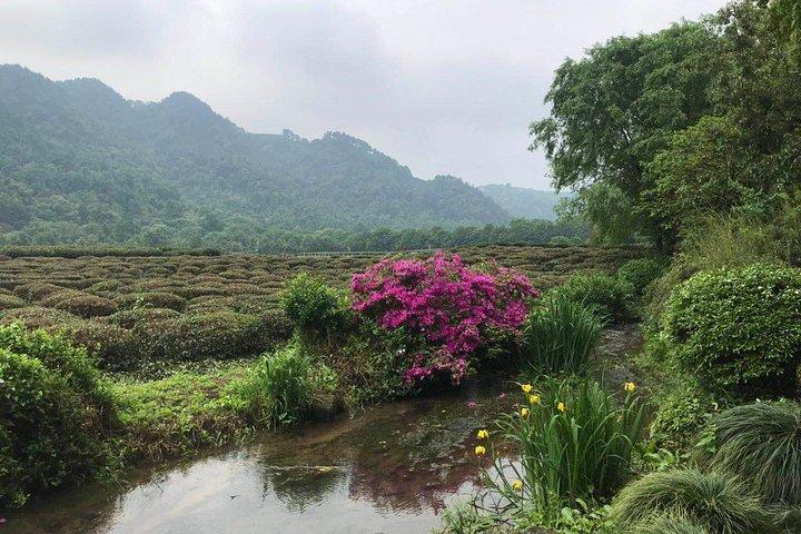 Hangzhou Private Ecological Day Tour including Xixi National Wetland Park