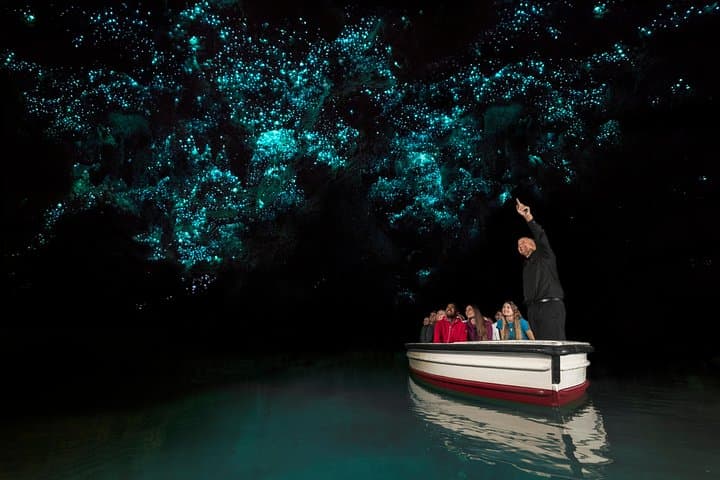 Hobbiton and Waitomo Caves from Auckland - Smaller Group
