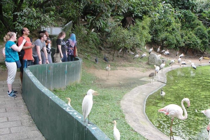 Kuala Lumpur Bird Park With Return Transfers