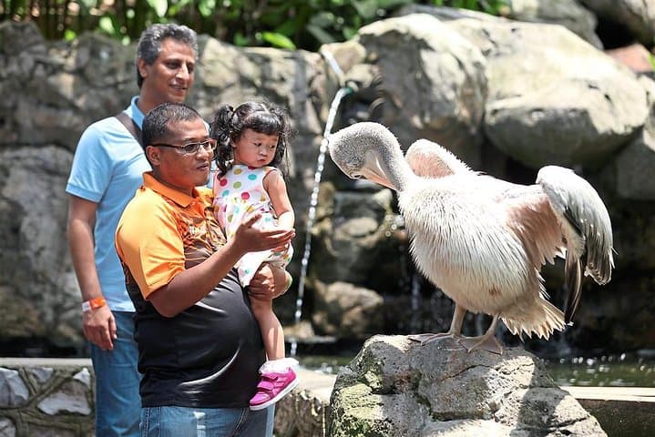 Kuala Lumpur Bird Park With Return Transfers