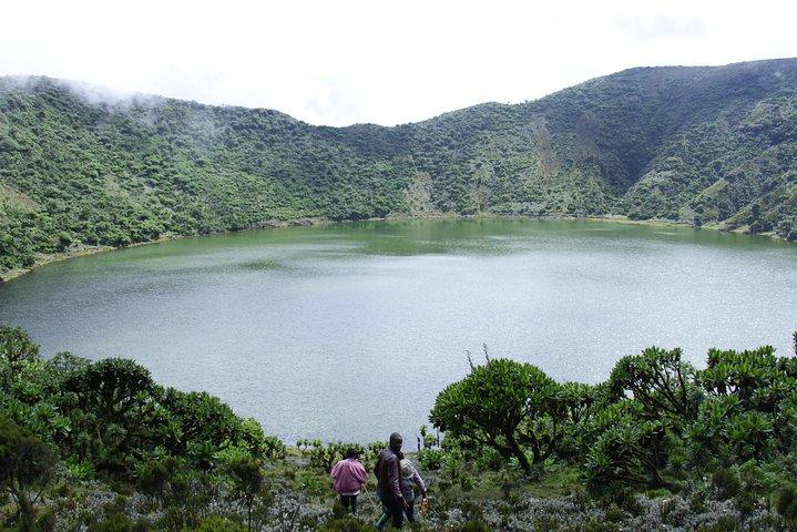 1 Day Rwanda Gorilla Trekking Tour In The Volcanoes National Park