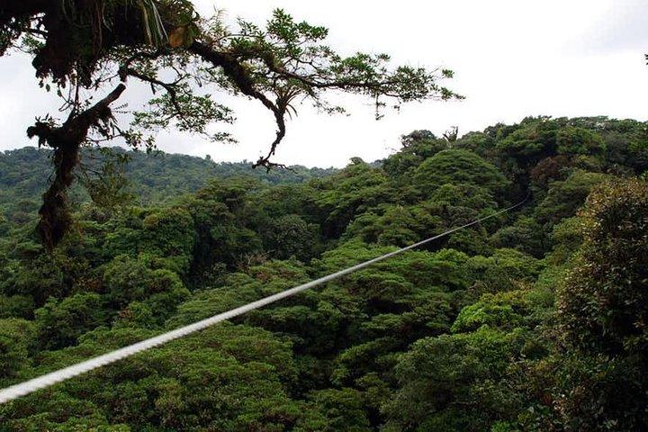Monteverde Cloud Forest Ziplines Canopy Tour