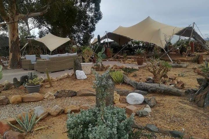 Cape Town Safari Transfers