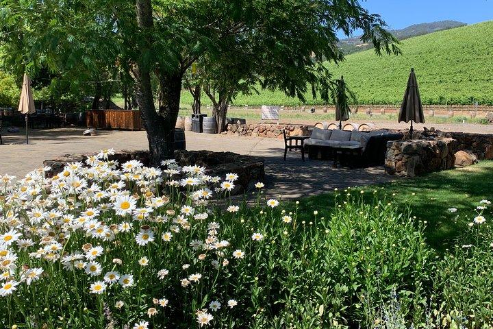 Napa & Sonoma Wine Tour | 6-8hr Private Fully Customized.*XL SUV