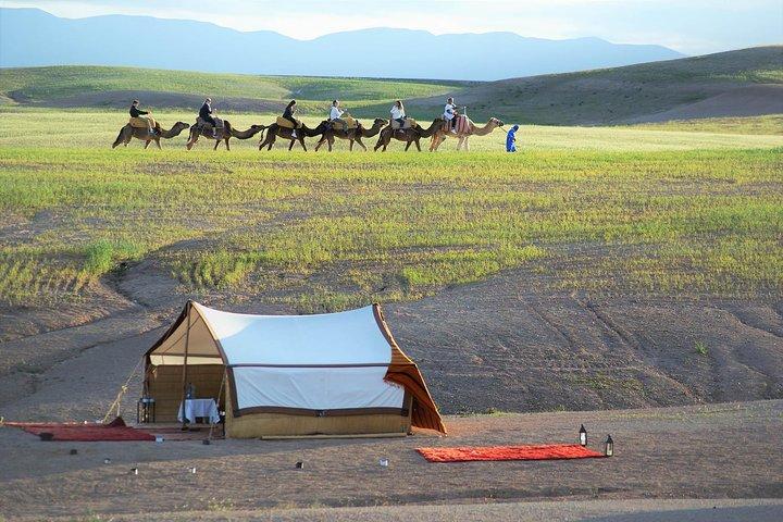 Marrakech To The Atlas Mountains Day Trip 3 Valleys & Camel Ride