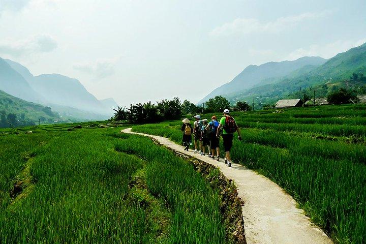 Trekking Through Rice Terraced Fields - 1Day