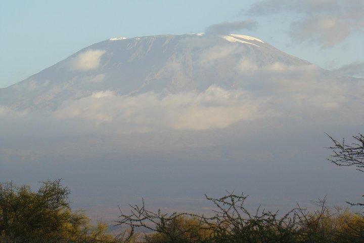 Day trip to Amboseli National Park