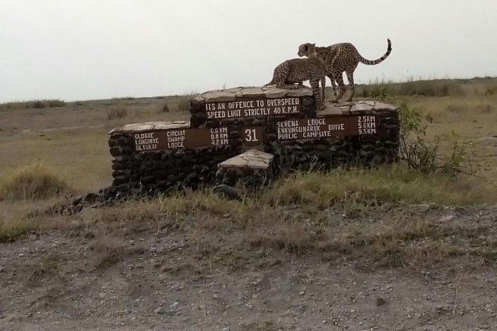 Day trip to Amboseli National Park
