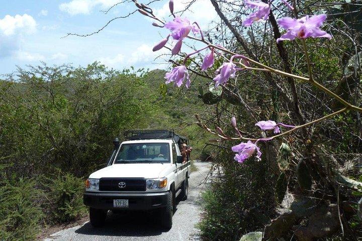 National Park Jeep Safari