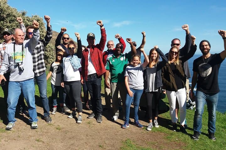 Small Group Cape Of Good Hope Penguins Wine Tasting Inc Park Fees