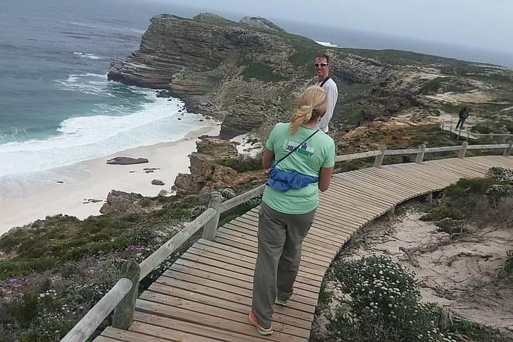 Small Group Cape Of Good Hope Penguins Wine Tasting Inc Park Fees