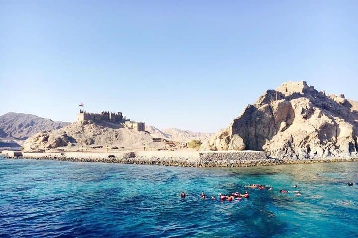 Trip To Dolphin House and Banana Boat Fun from Hurghada