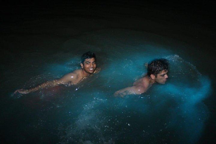 Luminous Lagoon Private Tour