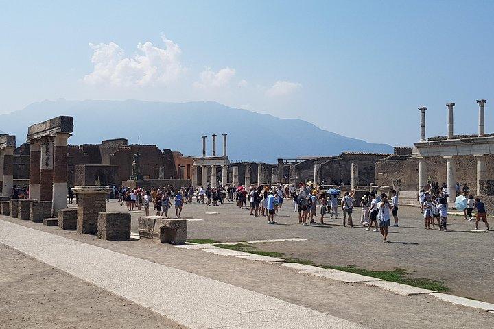 Pompeii & Naples Private Day Tour from Rome with Entry Tickets
