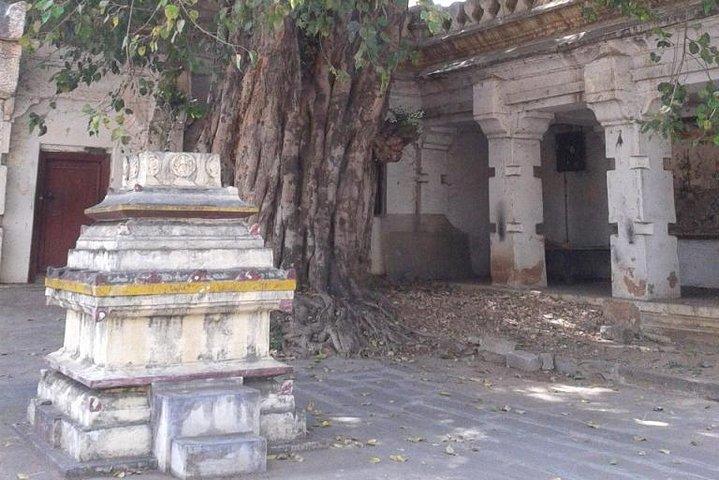 Srirangapatna & Mysore