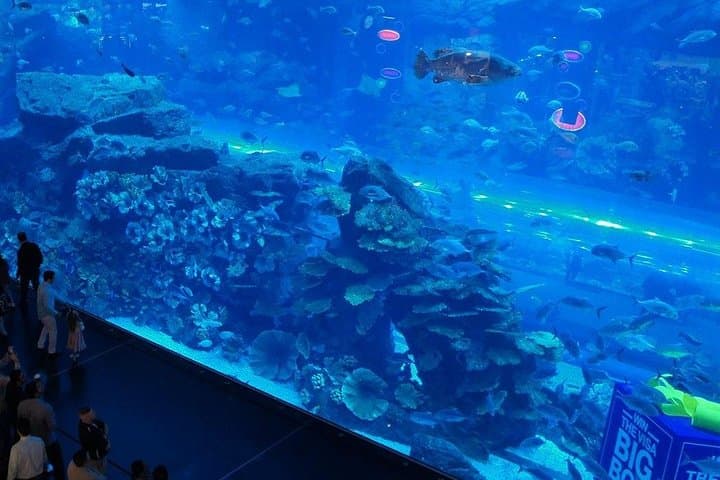 Dubai Aquarium and Underwater Zoo Explorer Tickets