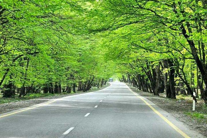 Gabala tour(Juma Mosque, Nohur lake, Waterfall, Cable route)