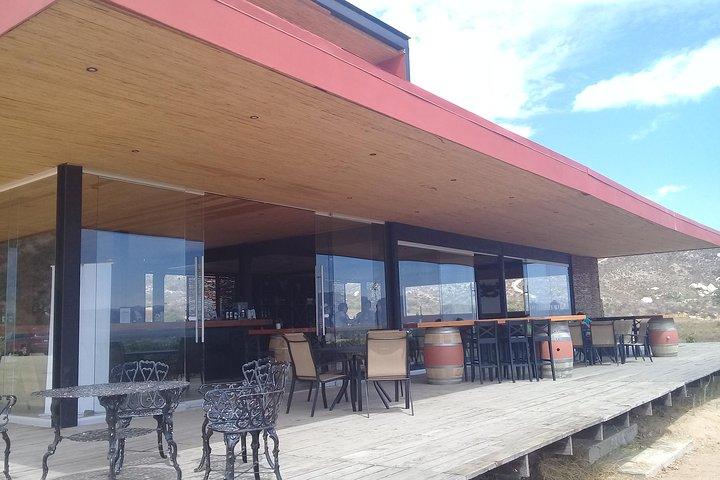 wine tours and driver service through valle de guadalupe, Ensenada B.C. Mexico