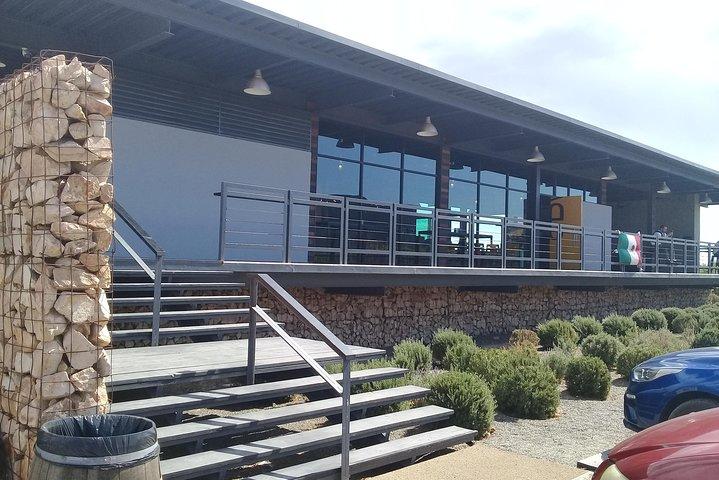 wine tours and driver service through valle de guadalupe, Ensenada B.C. Mexico