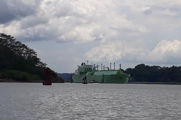 Panama City, Lake Gatun Adventure : Monkey Island