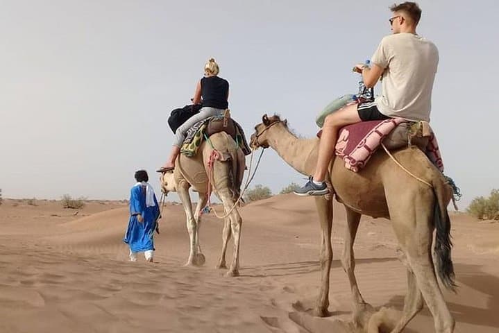 Private - Dinner in Dubai Desert with Camel Ride, BBQ Dinner and Belly Dance