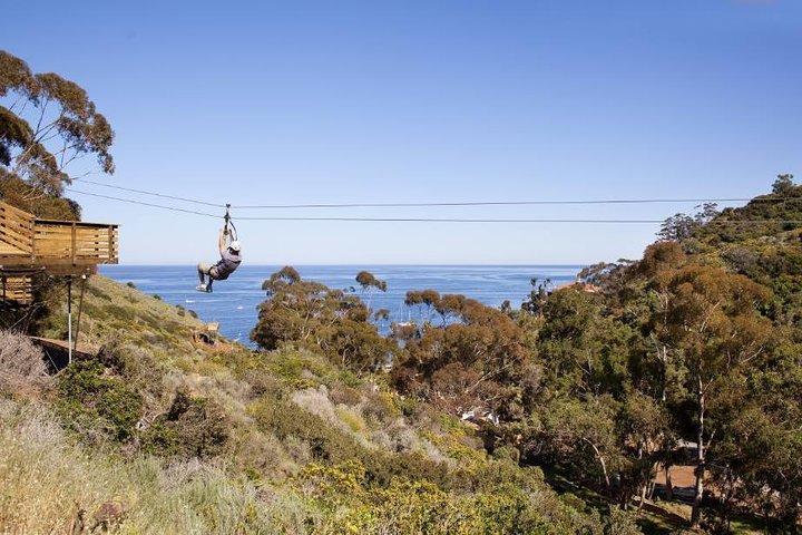 Catalina Island Zip Line Eco Tour