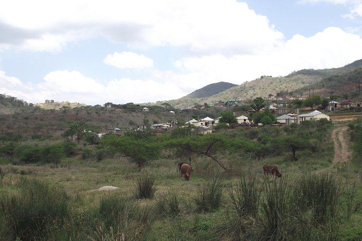 Zulu Cultural Experience - Tour to the village of iSithumba and PheZulu