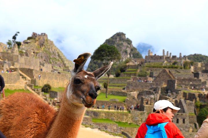 Private Tour, Full Day Machu Picchu with Lunch
