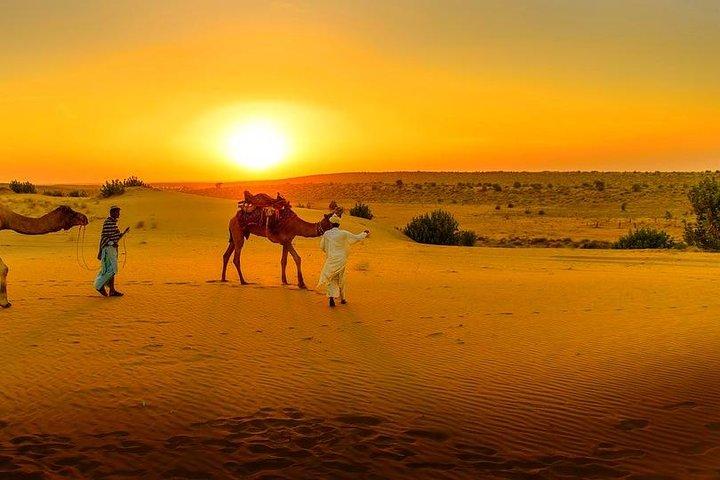 Dinner at Sunset & Camel ride in Marrakech desert Agafa