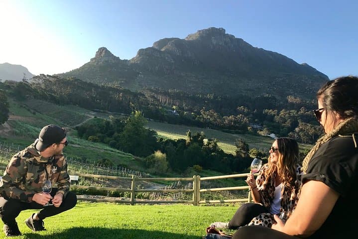 Cape Town Peninsula Day Tour ( Cape Point/Penguins/Wine Tasting)