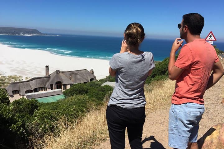 Cape Town Peninsula Day Tour ( Cape Point/Penguins/Wine Tasting)