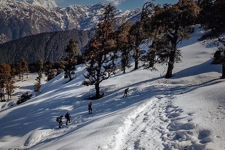 Chopta Trek