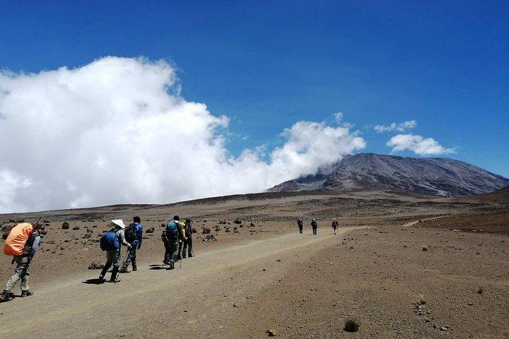 Kilimanjaro Trek 6 Days Marangu Route