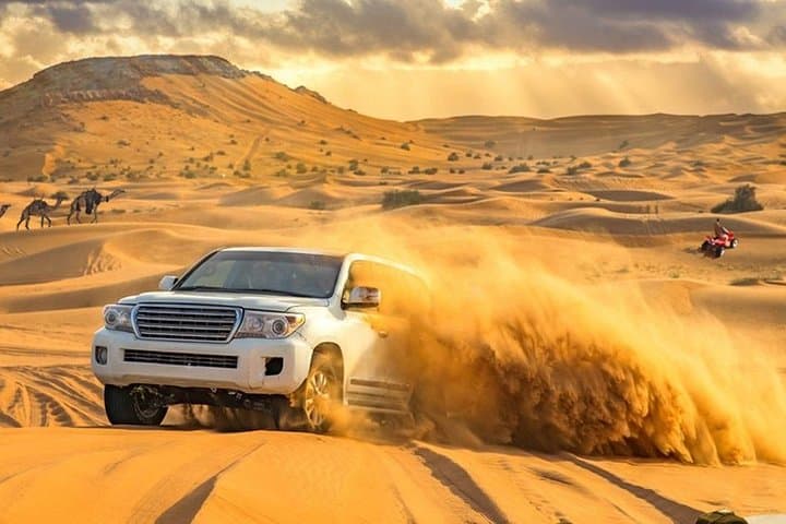 Dubai Desert Safari Morning with Camel Ride and Sand Boarding
