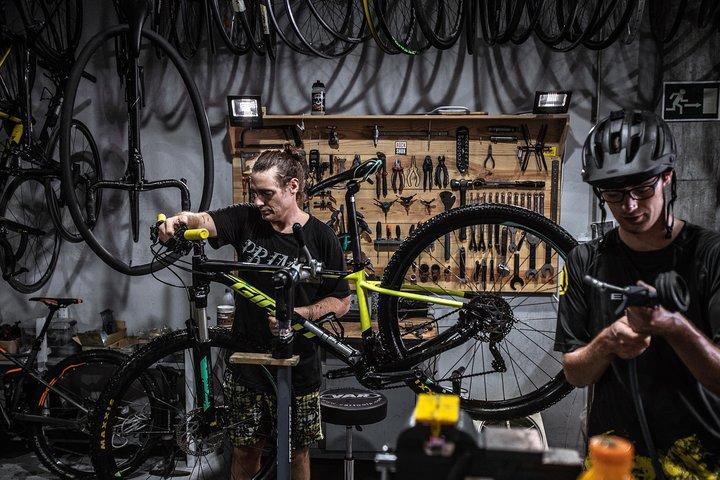 Malaga E-MTB Tour: Botanical Garden, Natural Park and Port of Malaga