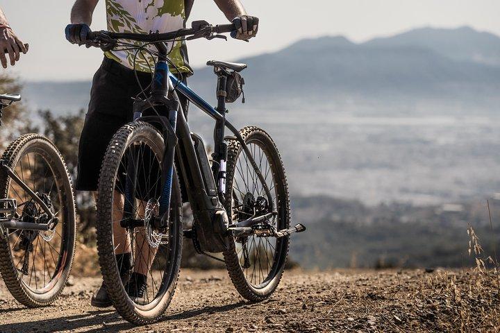 Malaga E-MTB Tour: Botanical Garden, Natural Park and Port of Malaga